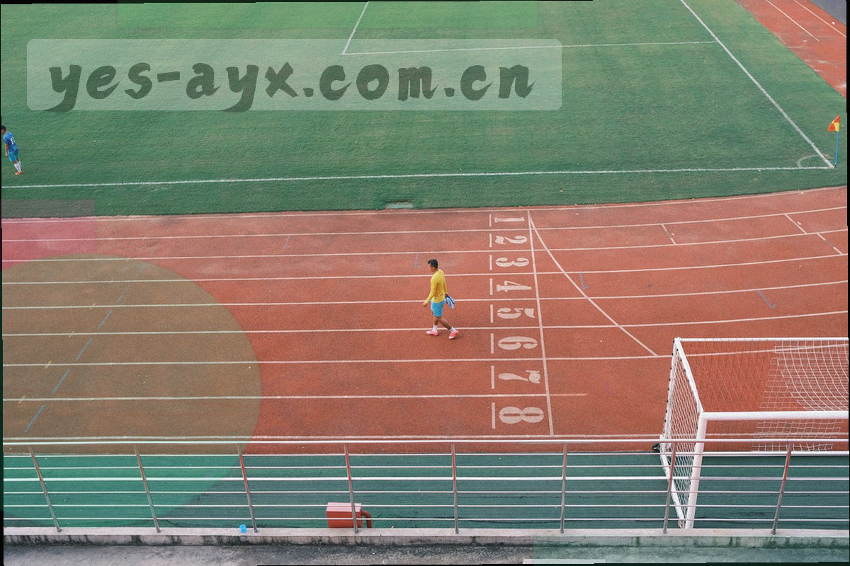 柱状条和文字标签组成的季度内容产出图